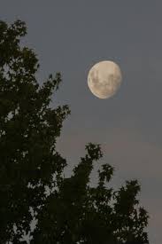 Full moon blue moon super moon August 2024